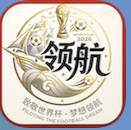 领航