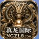 真龙国际